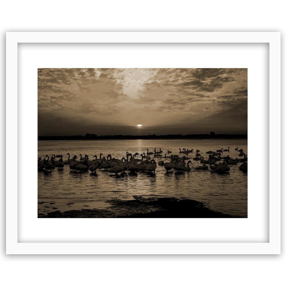 Glezna baltā rāmī - Swans On Shore 1 Home Trends DECO