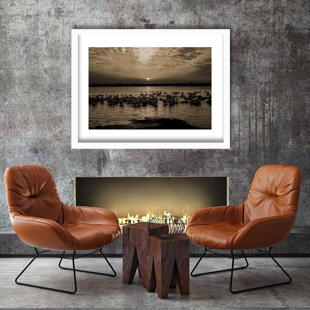 Glezna baltā rāmī - Swans On Shore 1 Home Trends DECO