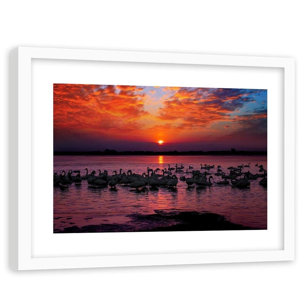 Glezna baltā rāmī - Swans On The Lake Home Trends DECO
