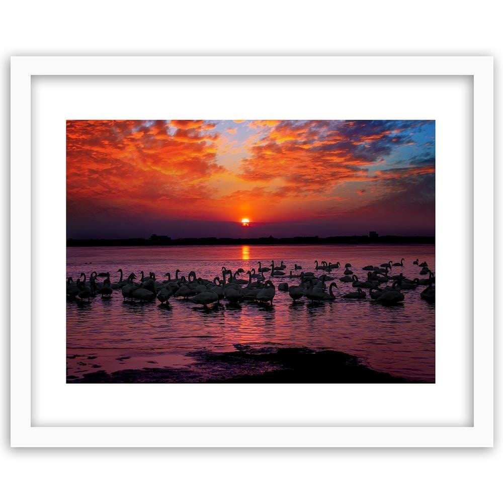 Glezna baltā rāmī - Swans On The Lake Home Trends DECO