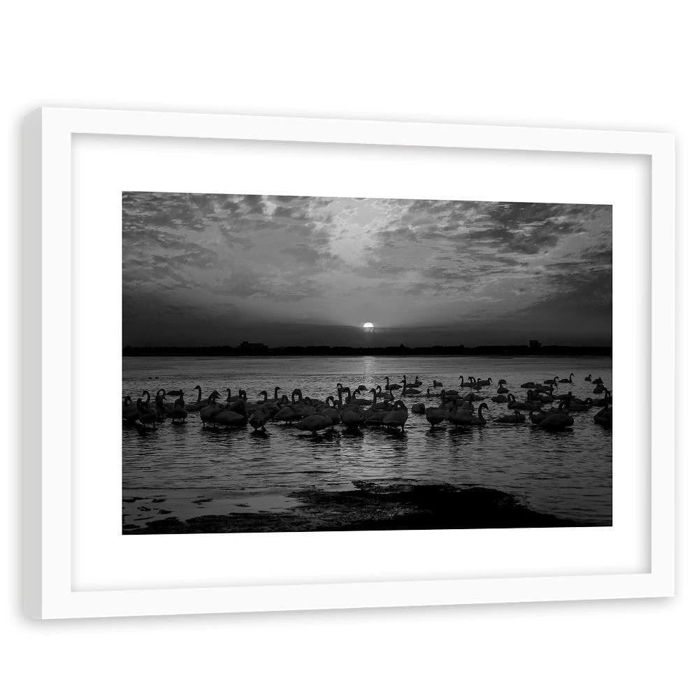 Glezna baltā rāmī - Swans On The Shore Of A Lake 2 Home Trends DECO
