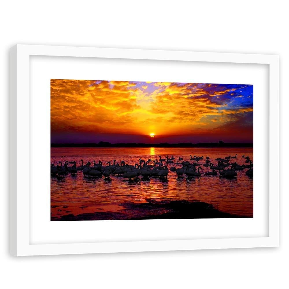 Glezna baltā rāmī - Swans On The Shore Of A Lake 3 Home Trends DECO