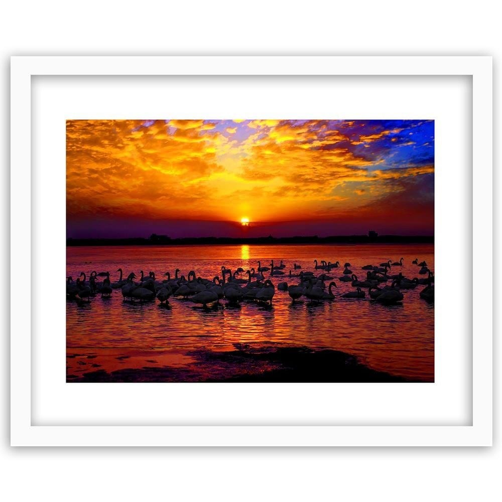 Glezna baltā rāmī - Swans On The Shore Of A Lake 3 Home Trends DECO