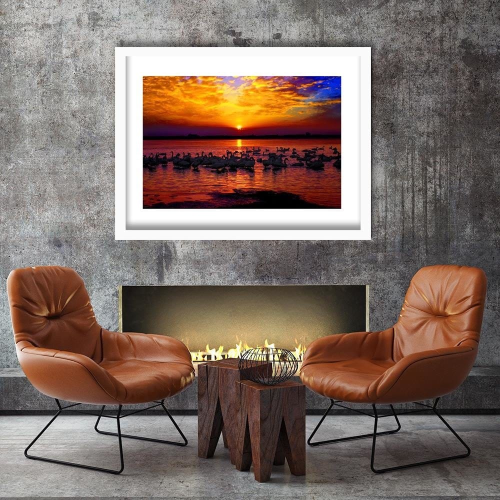 Glezna baltā rāmī - Swans On The Shore Of A Lake 3 Home Trends DECO