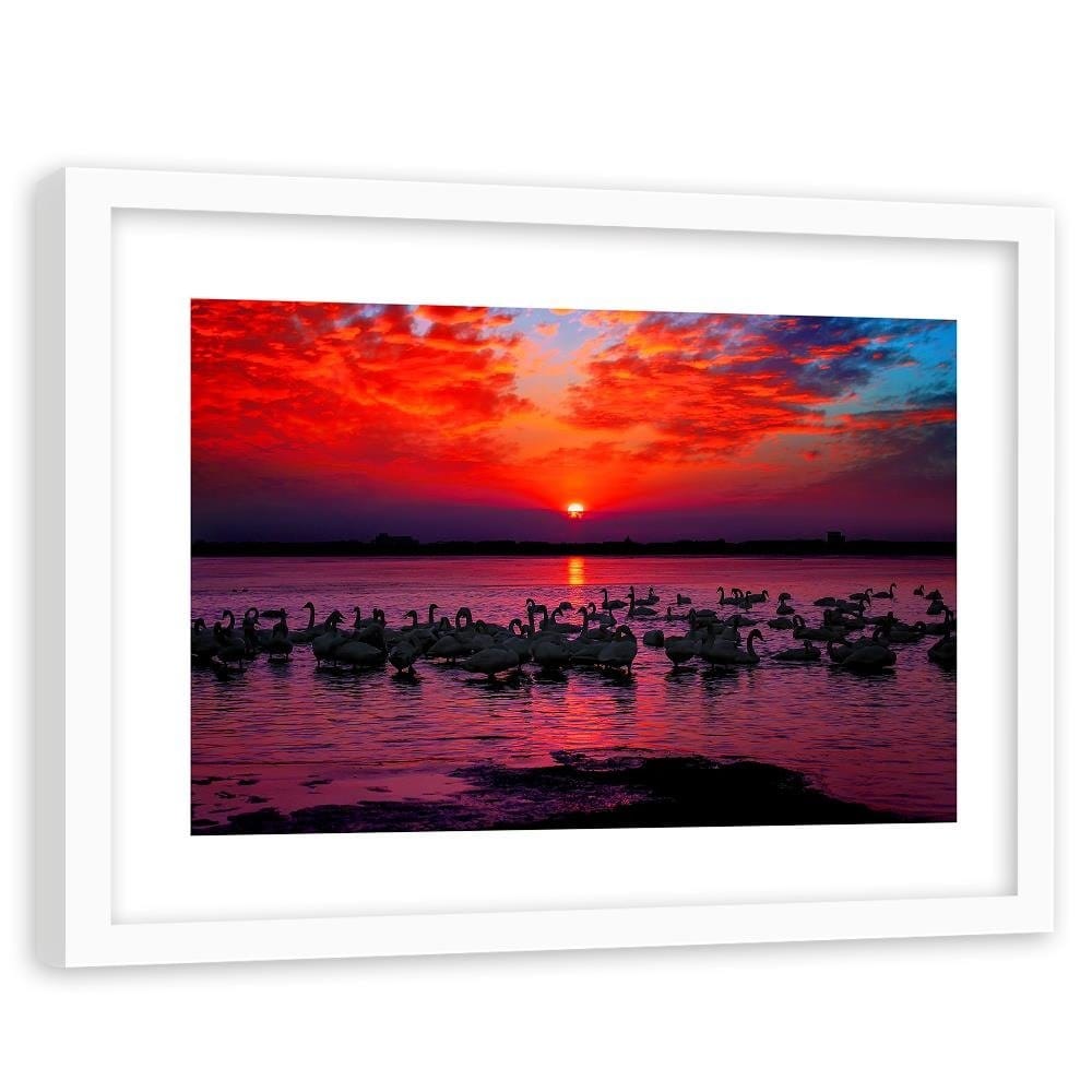 Glezna baltā rāmī - Swans On The Shore Of A Lake 4 Home Trends DECO