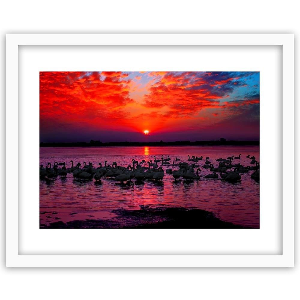 Glezna baltā rāmī - Swans On The Shore Of A Lake 4 Home Trends DECO