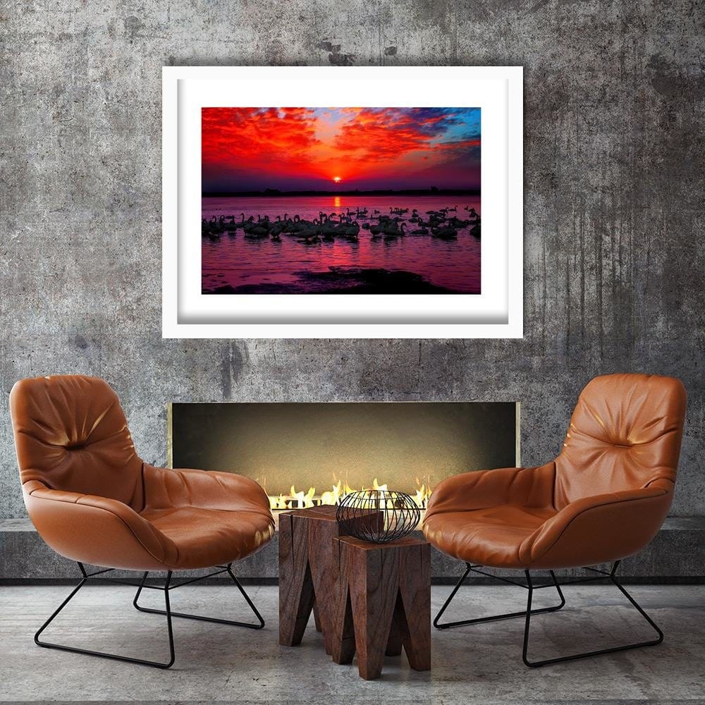 Glezna baltā rāmī - Swans On The Shore Of A Lake 4 Home Trends DECO
