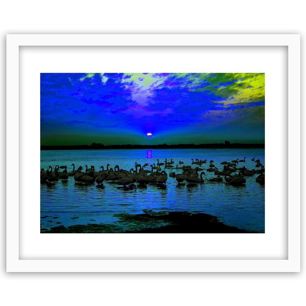Glezna baltā rāmī - Swans On The Shore Of A Lake Home Trends DECO