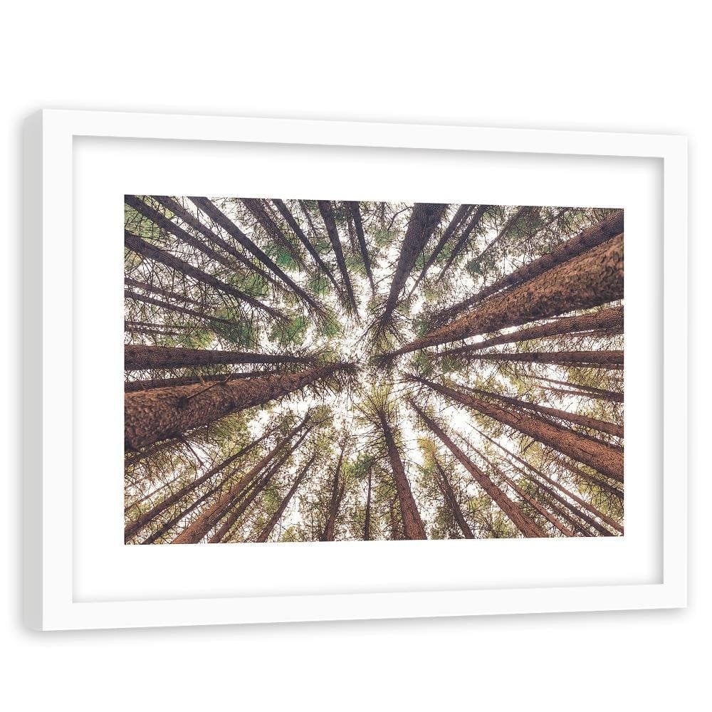 Glezna baltā rāmī - Tall Pines Home Trends DECO
