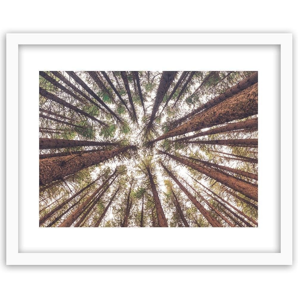 Glezna baltā rāmī - Tall Pines Home Trends DECO