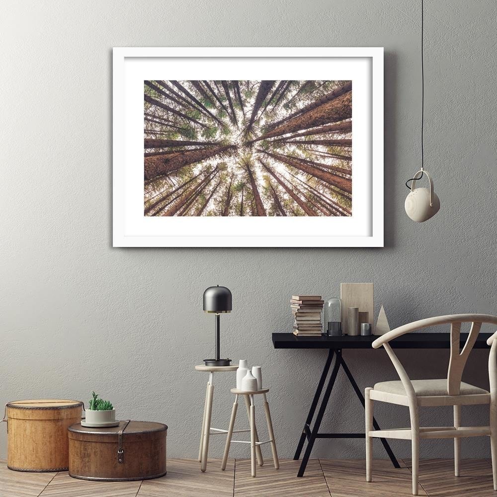Glezna baltā rāmī - Tall Pines Home Trends DECO