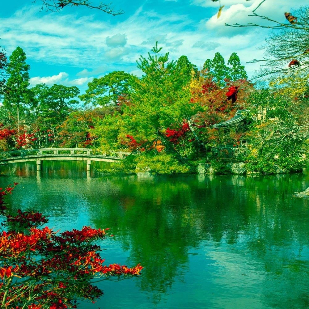 Glezna baltā rāmī - The Bridge Over The River In The Park 4 Home Trends DECO