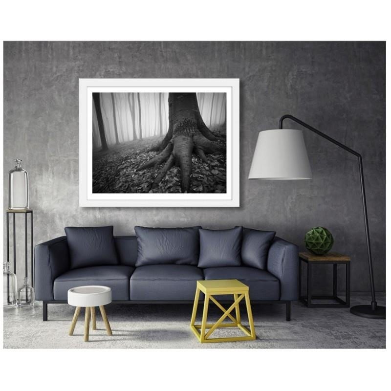 Glezna baltā rāmī - The forest in the fog Home Trends DECO