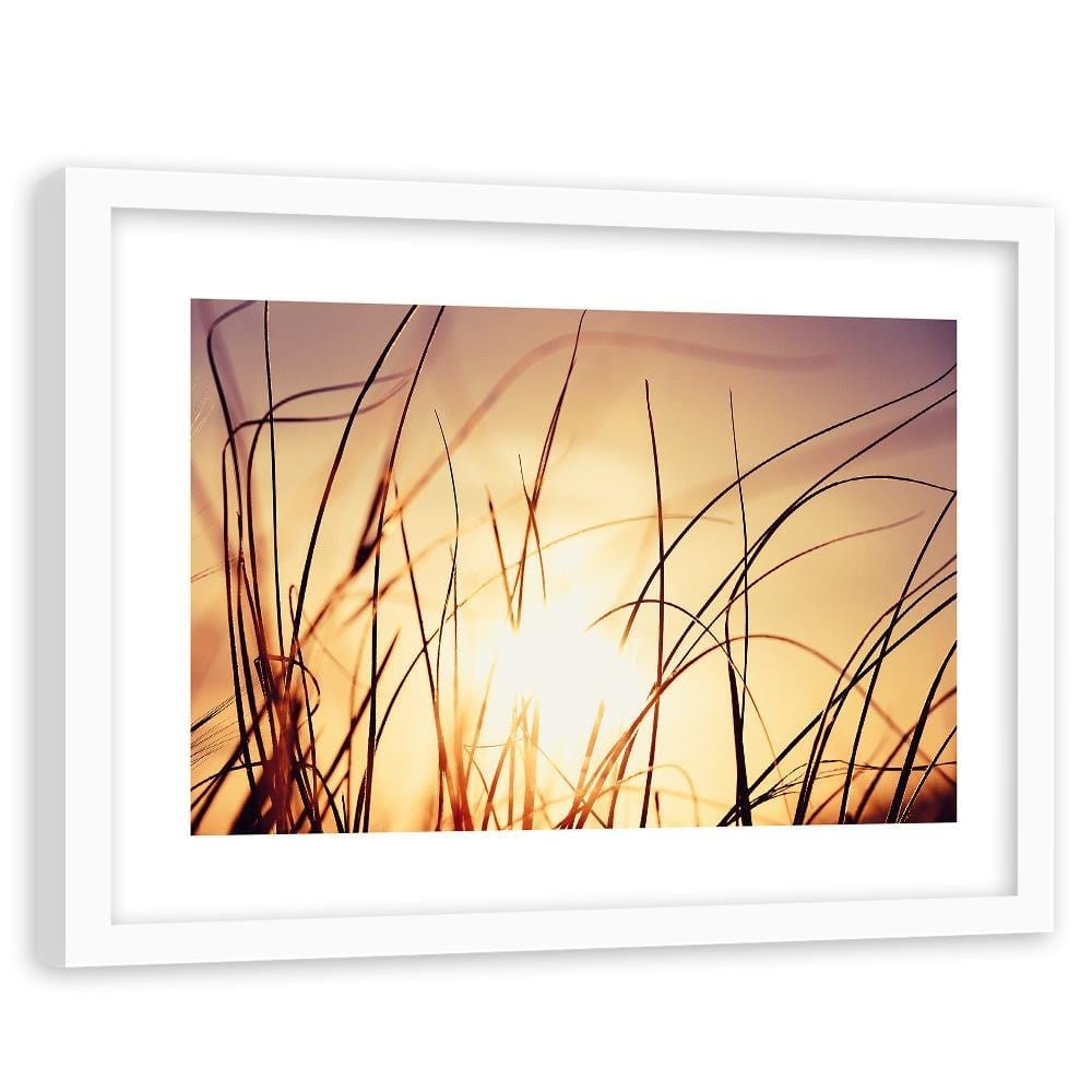 Glezna baltā rāmī - The Grass In The Sunshine  Home Trends DECO