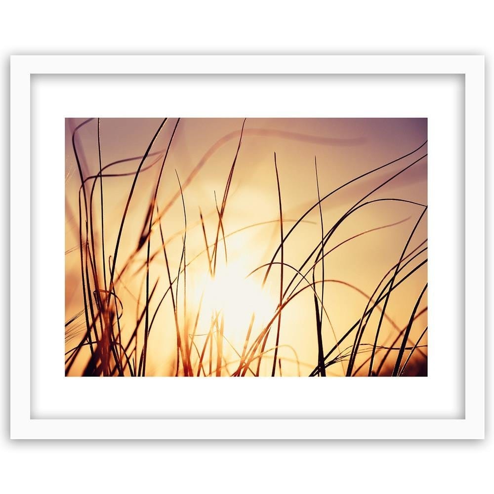 Glezna baltā rāmī - The Grass In The Sunshine  Home Trends DECO