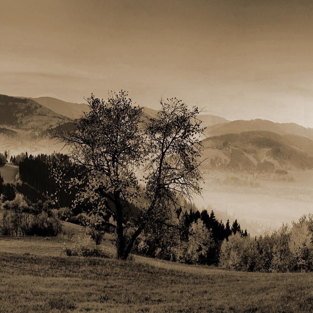 Glezna baltā rāmī - The Hills Of Autumn Trees 1 Home Trends DECO