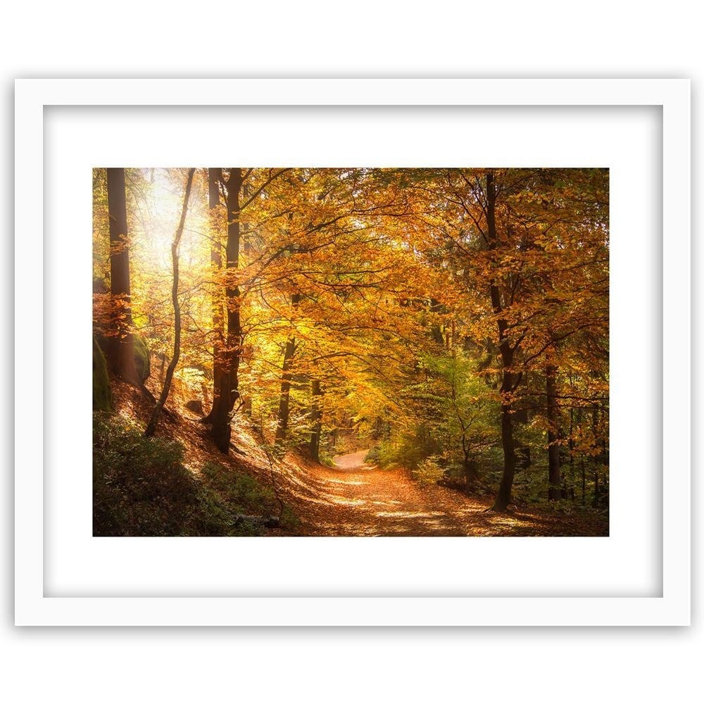 Glezna baltā rāmī - The Leaves On The Forest Road Home Trends DECO