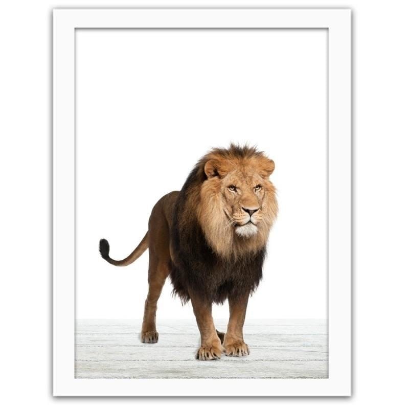 Glezna baltā rāmī - The lion Home Trends DECO