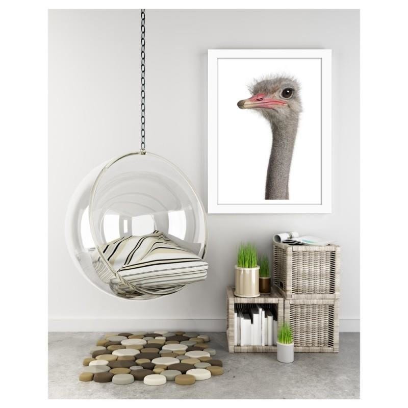 Glezna baltā rāmī - The ostrich head Home Trends DECO