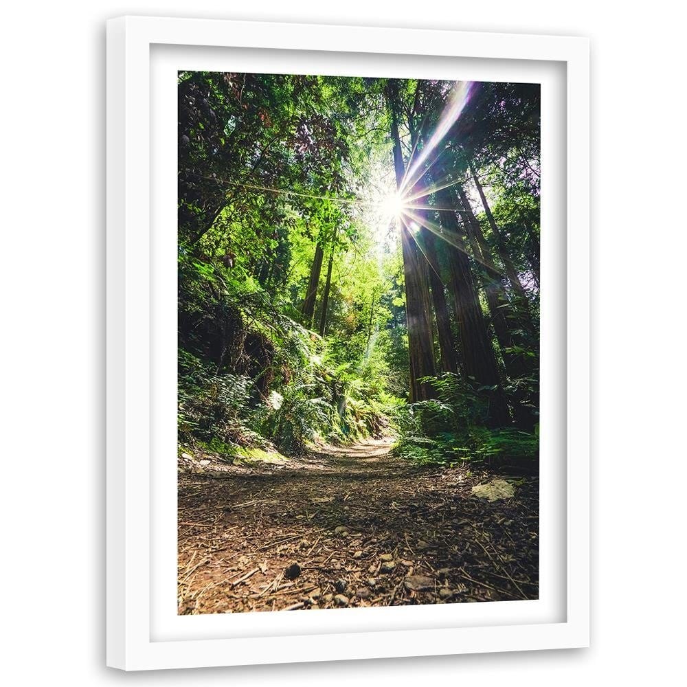 Glezna baltā rāmī - The Path In The Jungle Home Trends DECO