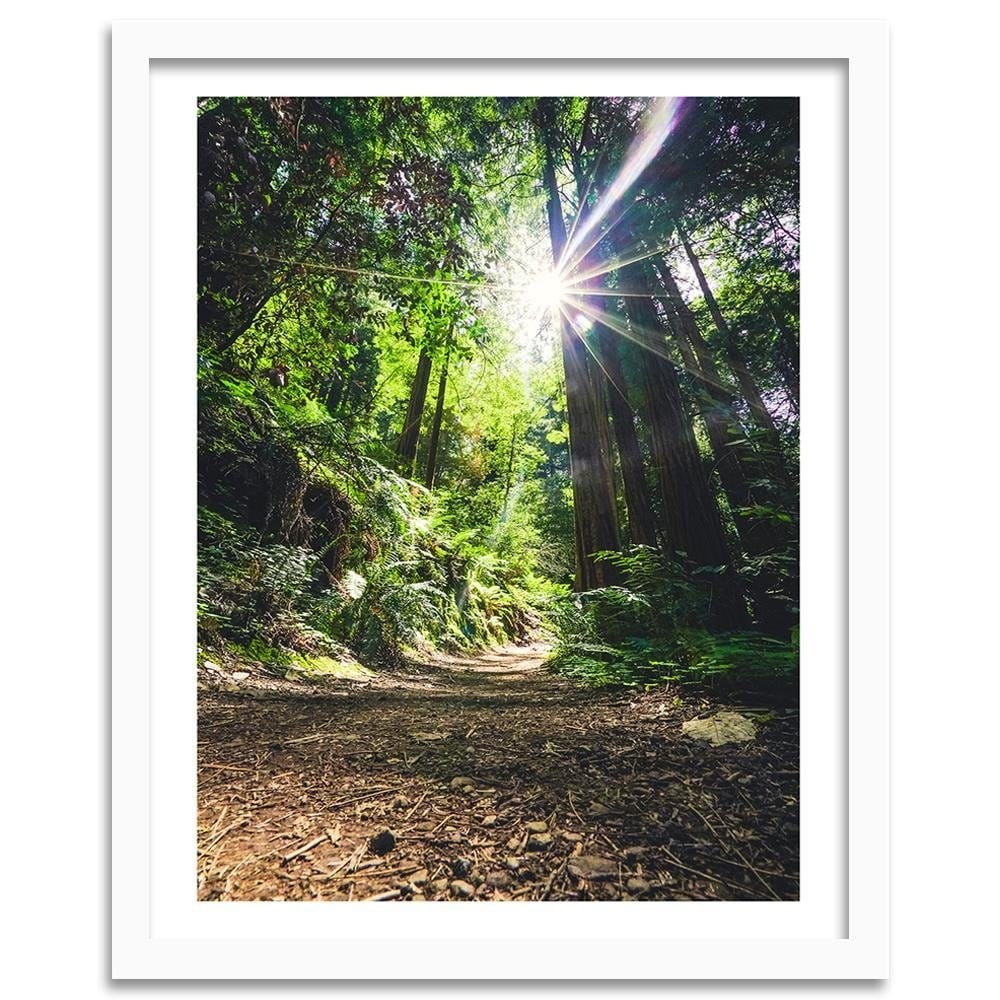 Glezna baltā rāmī - The Path In The Jungle Home Trends DECO
