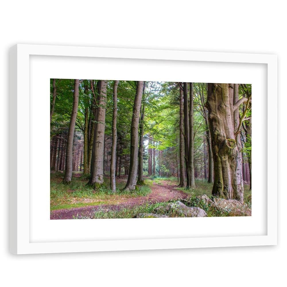 Glezna baltā rāmī - The Path In The Woods Home Trends DECO