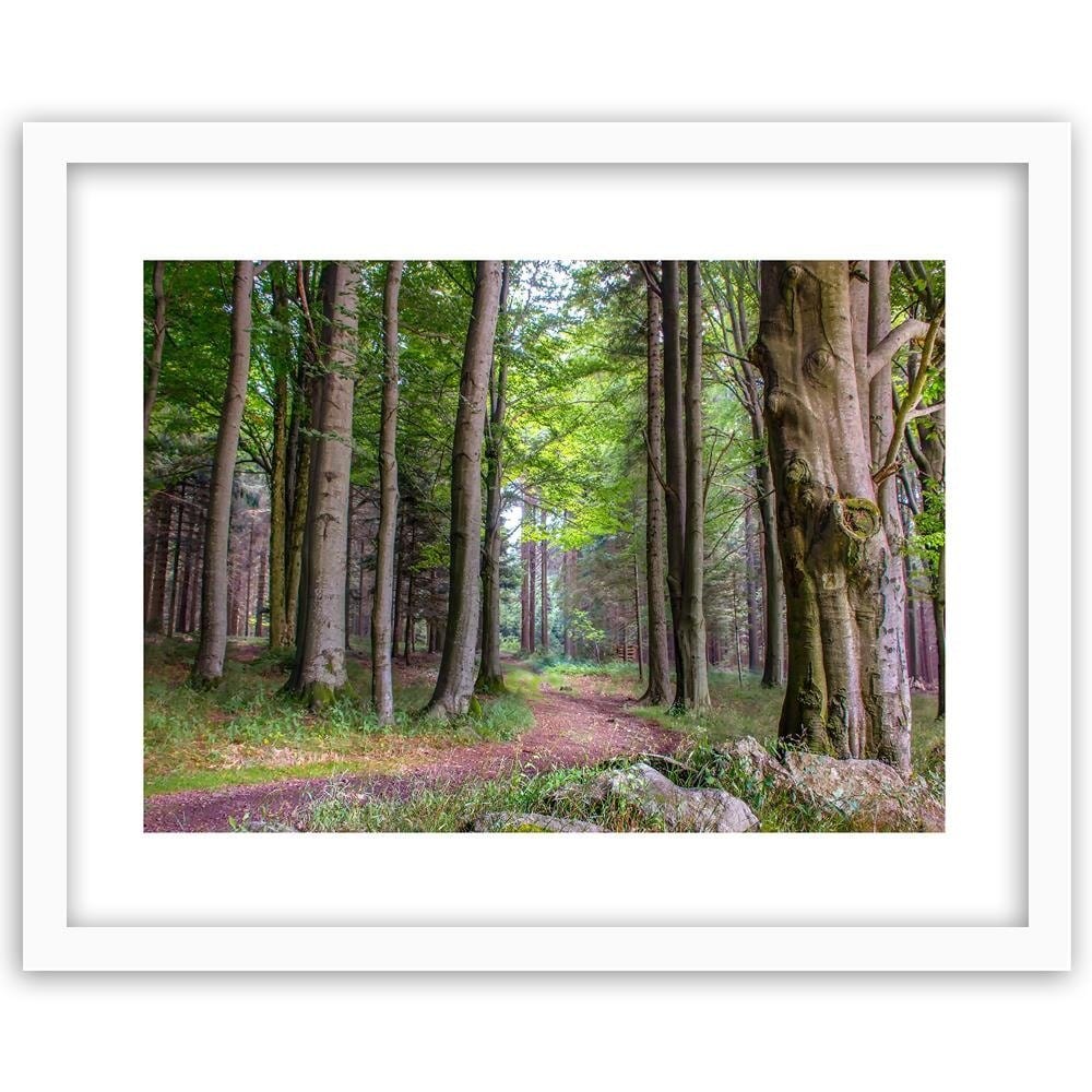 Glezna baltā rāmī - The Path In The Woods Home Trends DECO
