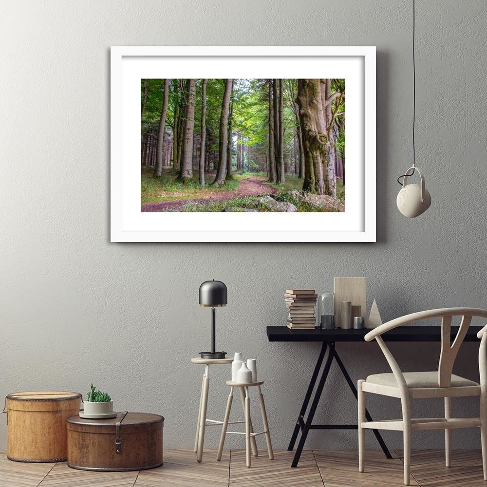 Glezna baltā rāmī - The Path In The Woods Home Trends DECO
