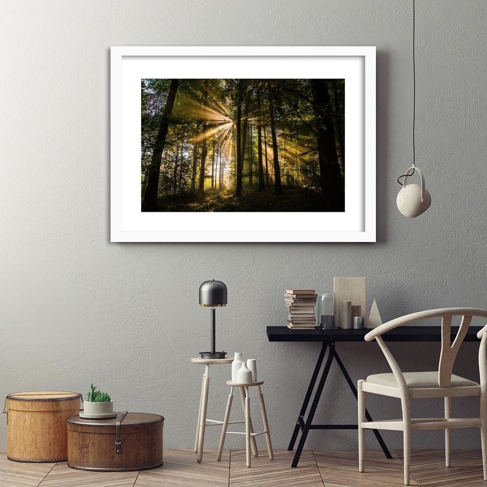Glezna baltā rāmī - The Rays Of The Sun In A Dark Forest Home Trends DECO