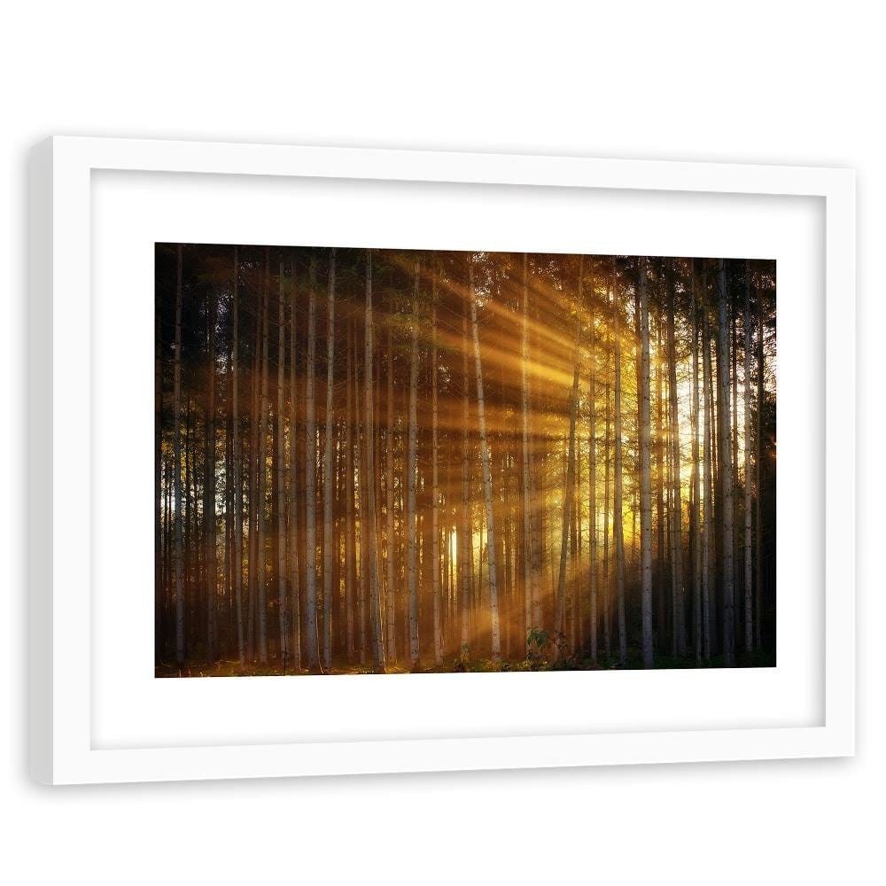 Glezna baltā rāmī - The Rays Of The Sun In The Dense Forest Home Trends DECO