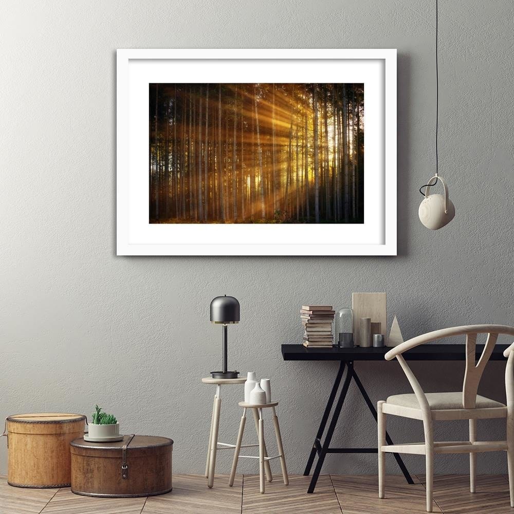 Glezna baltā rāmī - The Rays Of The Sun In The Dense Forest Home Trends DECO