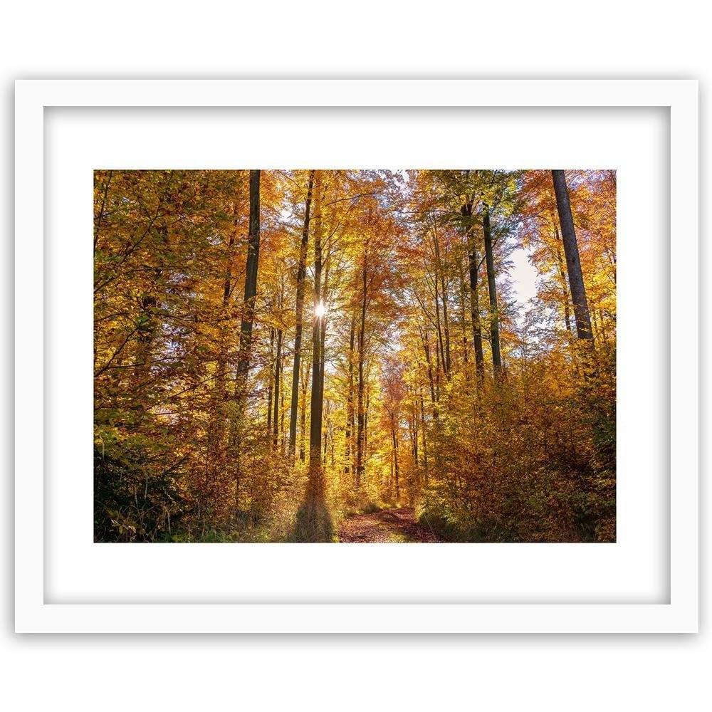 Glezna baltā rāmī - The Rays Of The Sun In The Forest Home Trends DECO