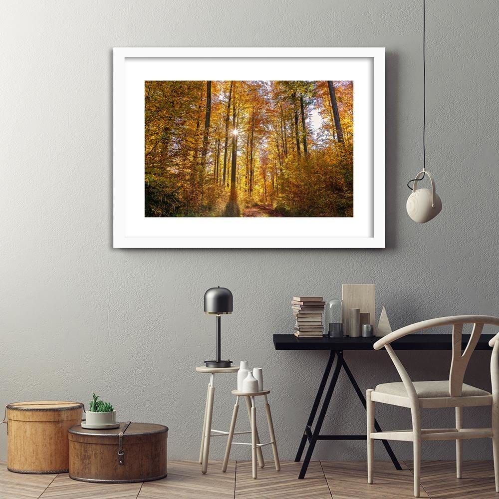 Glezna baltā rāmī - The Rays Of The Sun In The Forest Home Trends DECO