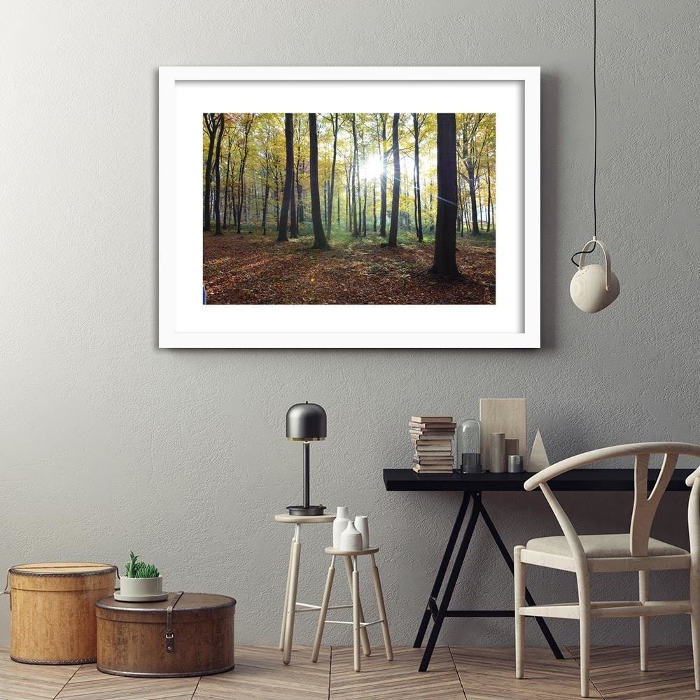 Glezna baltā rāmī - The Rays Of The Sun In The Park Home Trends DECO