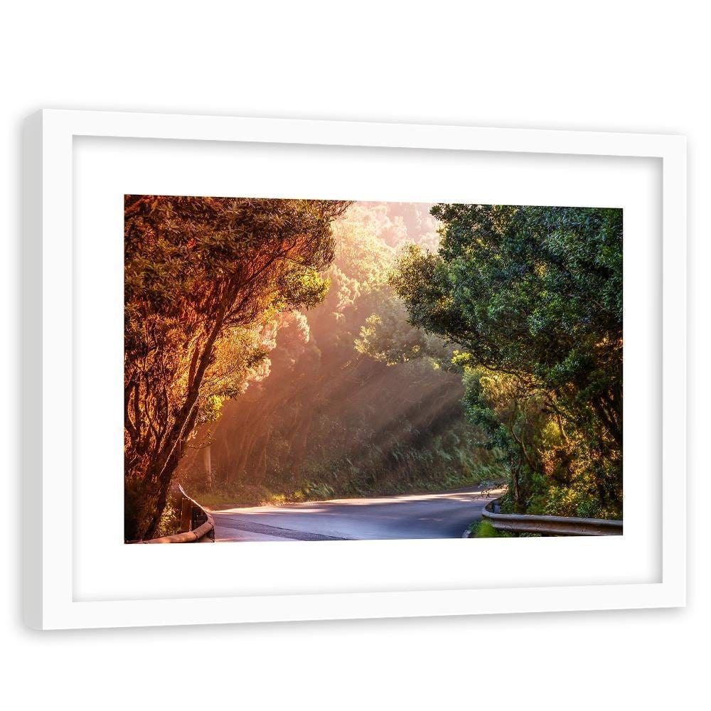 Glezna baltā rāmī - The Rays Of The Sun On The Forest Road Home Trends DECO