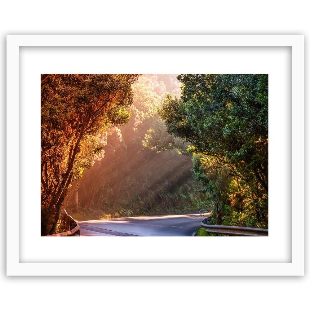 Glezna baltā rāmī - The Rays Of The Sun On The Forest Road Home Trends DECO