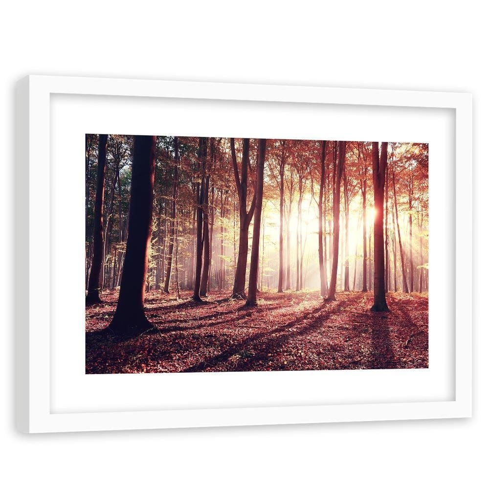 Glezna baltā rāmī - The Rays Of The Sun Through The Trees Home Trends DECO