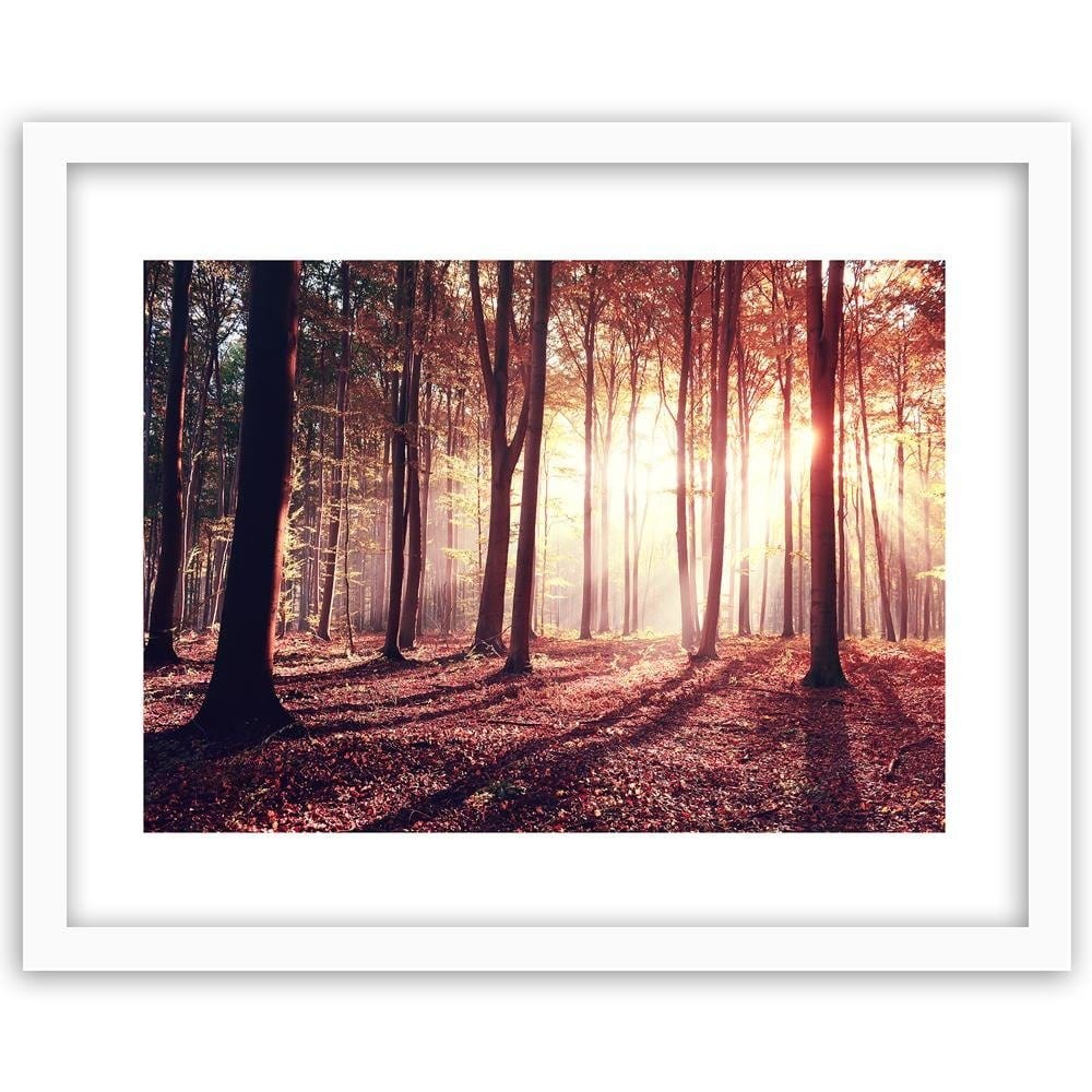 Glezna baltā rāmī - The Rays Of The Sun Through The Trees Home Trends DECO