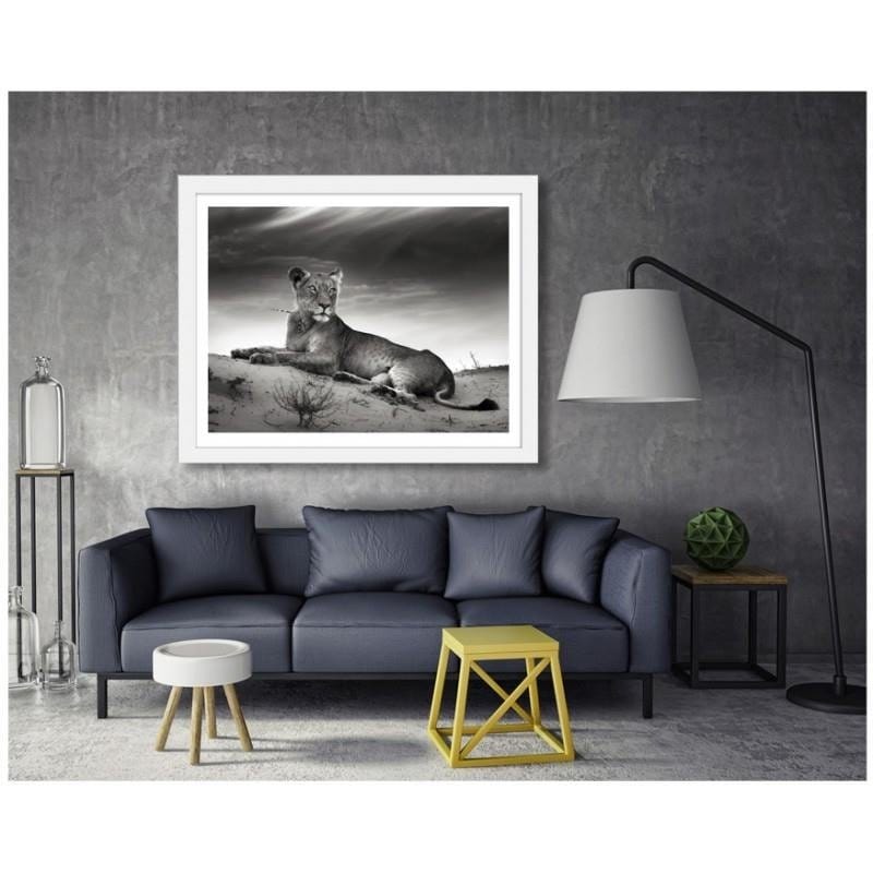 Glezna baltā rāmī - The resting lioness Home Trends DECO