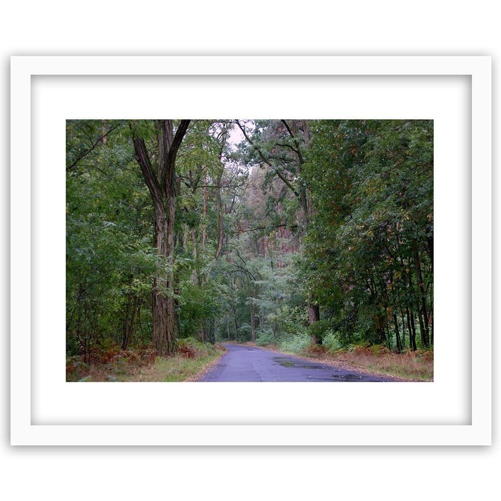 Glezna baltā rāmī - The Road Through The Forest Home Trends DECO