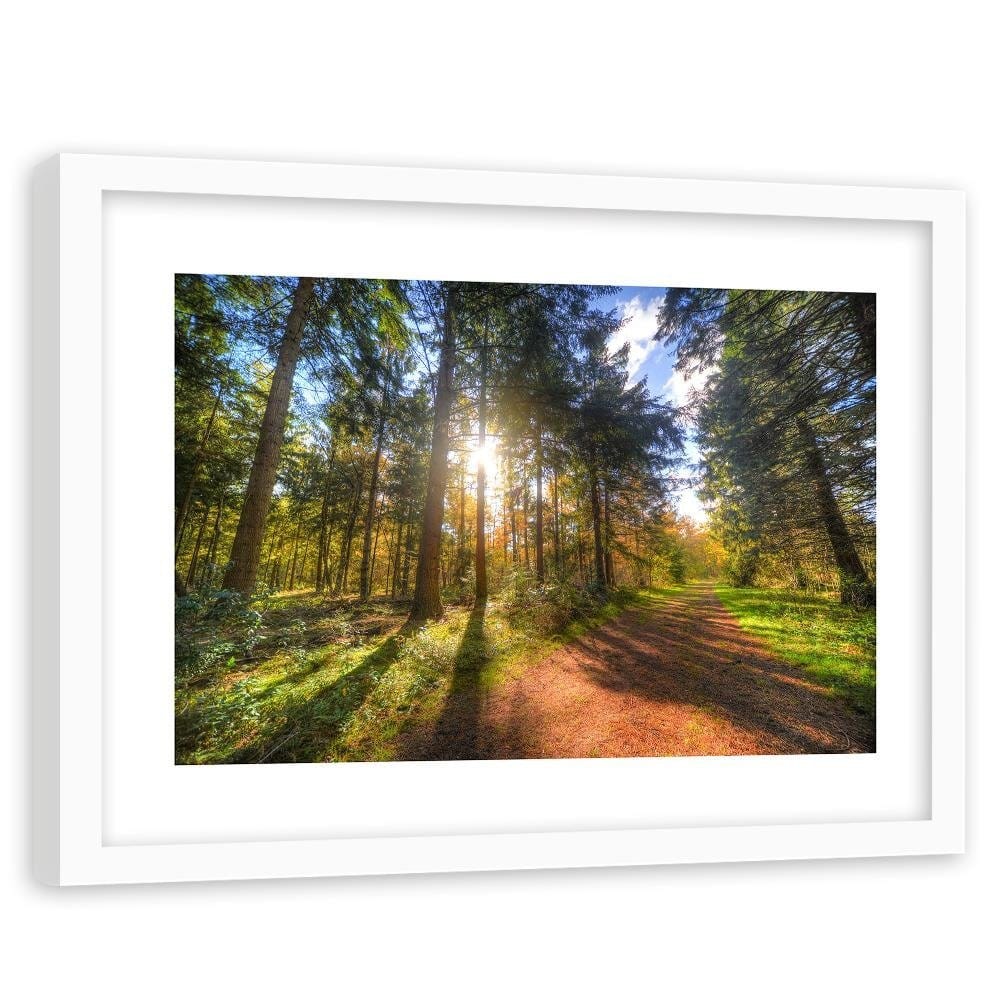 Glezna baltā rāmī - The Sun Among The Trees Home Trends DECO