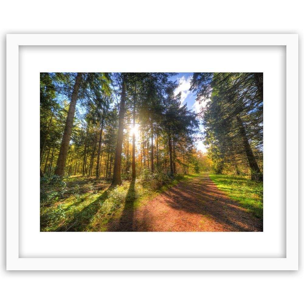 Glezna baltā rāmī - The Sun Among The Trees Home Trends DECO
