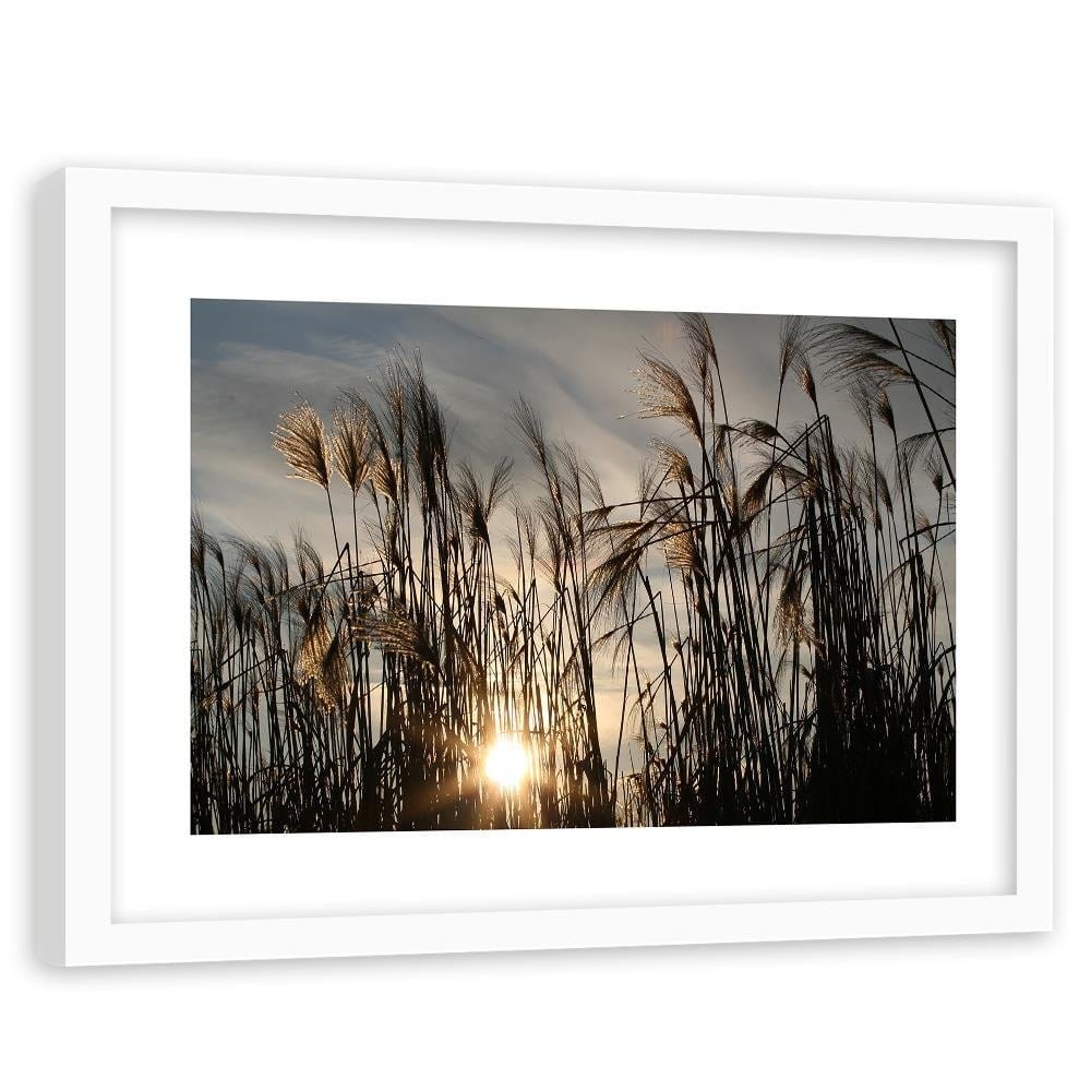 Glezna baltā rāmī - The Sun In The Grass Home Trends DECO
