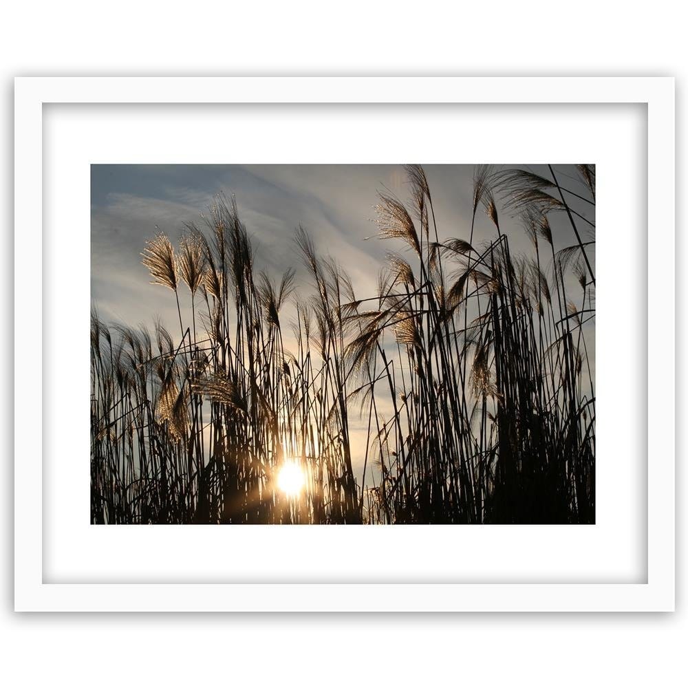Glezna baltā rāmī - The Sun In The Grass Home Trends DECO