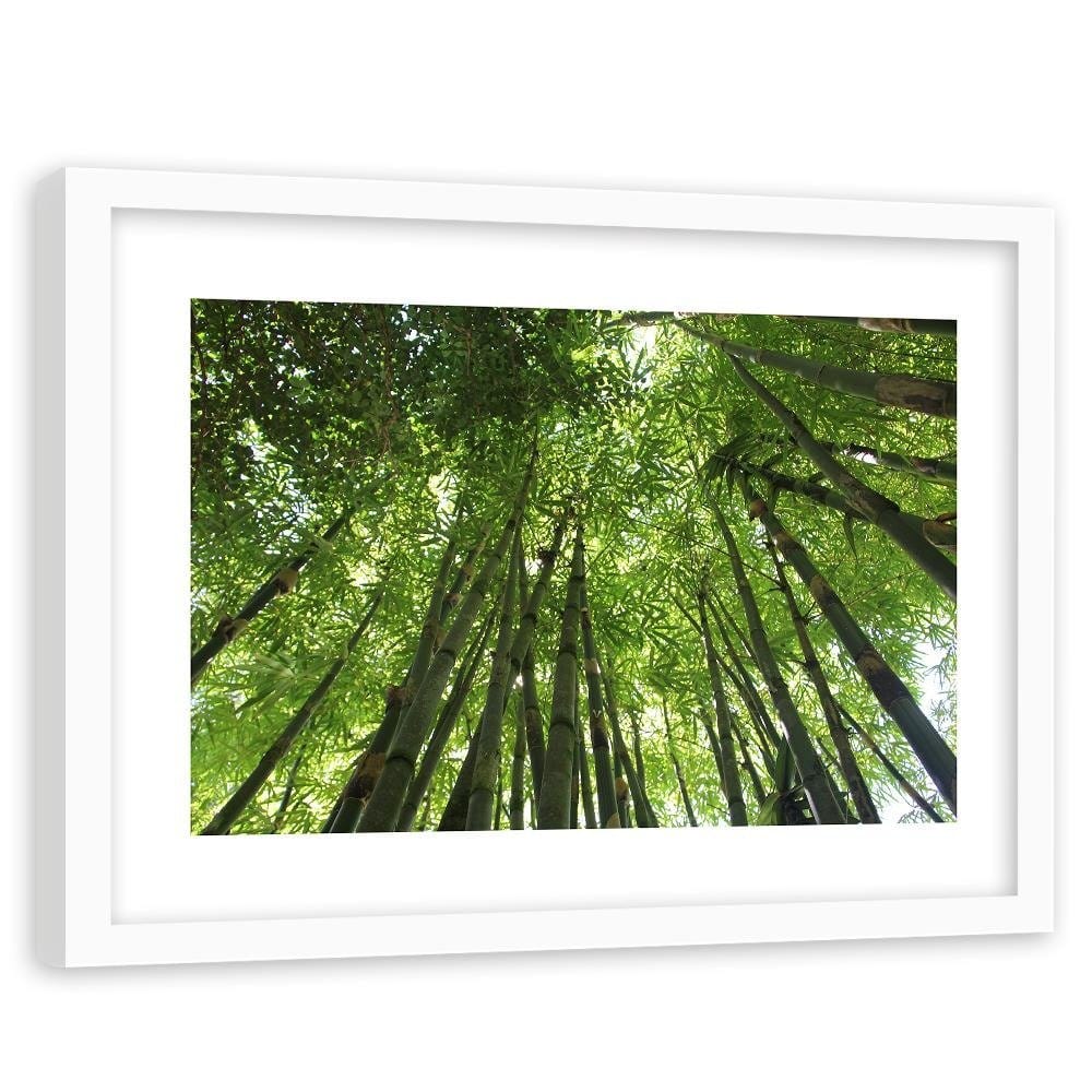 Glezna baltā rāmī - The Tips Of Bamboo Home Trends DECO
