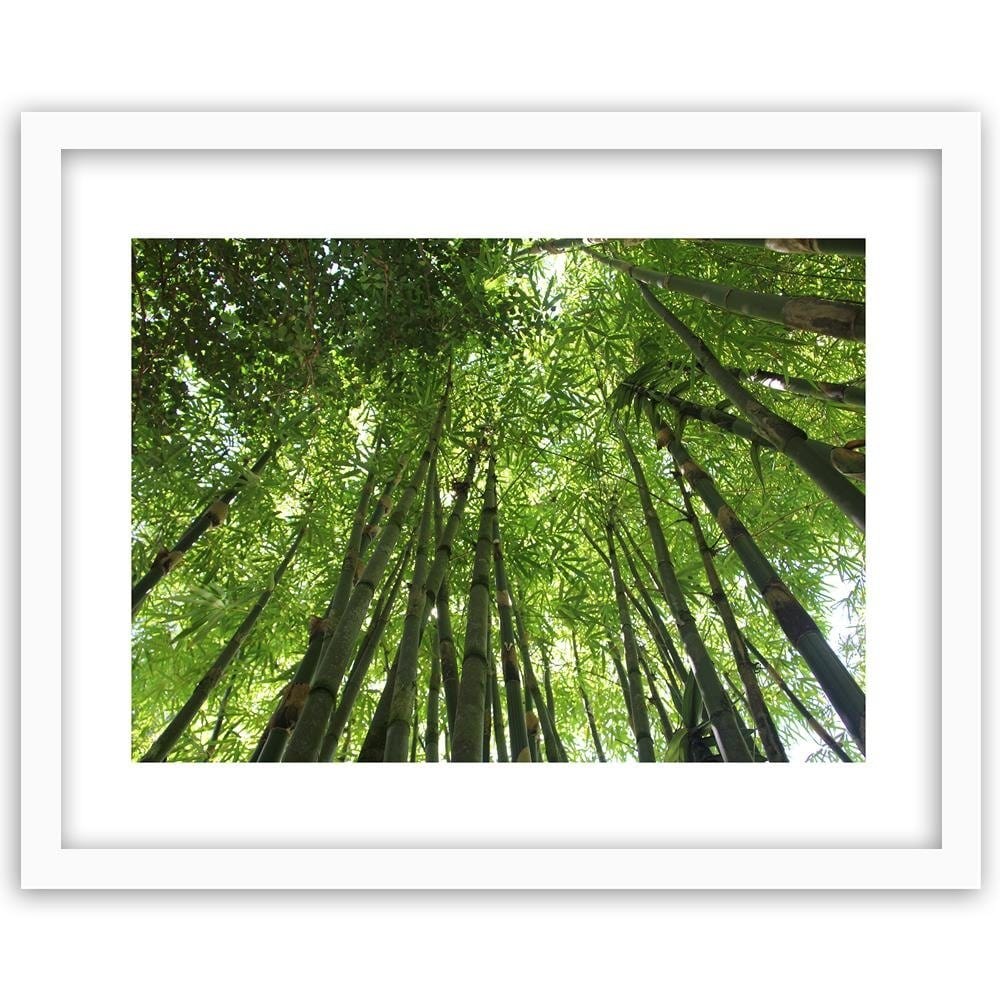 Glezna baltā rāmī - The Tips Of Bamboo Home Trends DECO