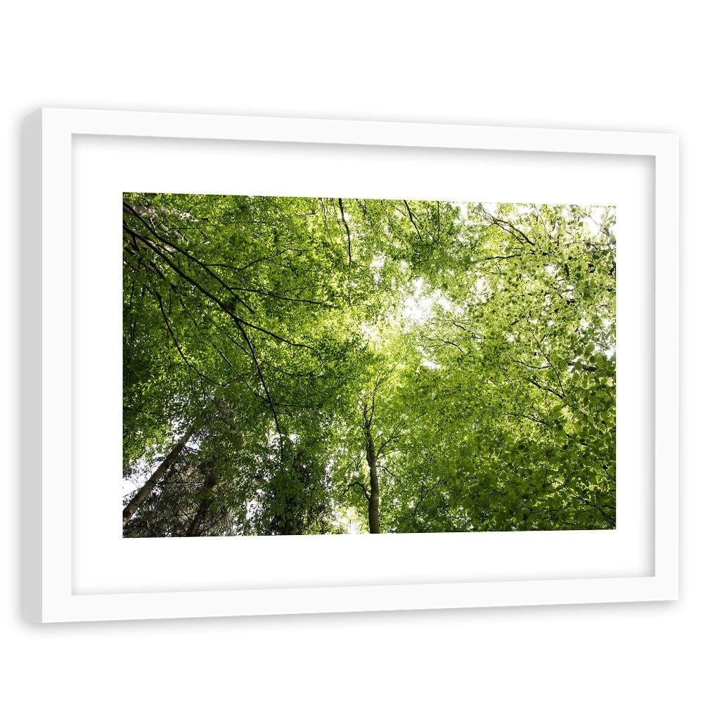 Glezna baltā rāmī - The Tops Of Green Trees Home Trends DECO