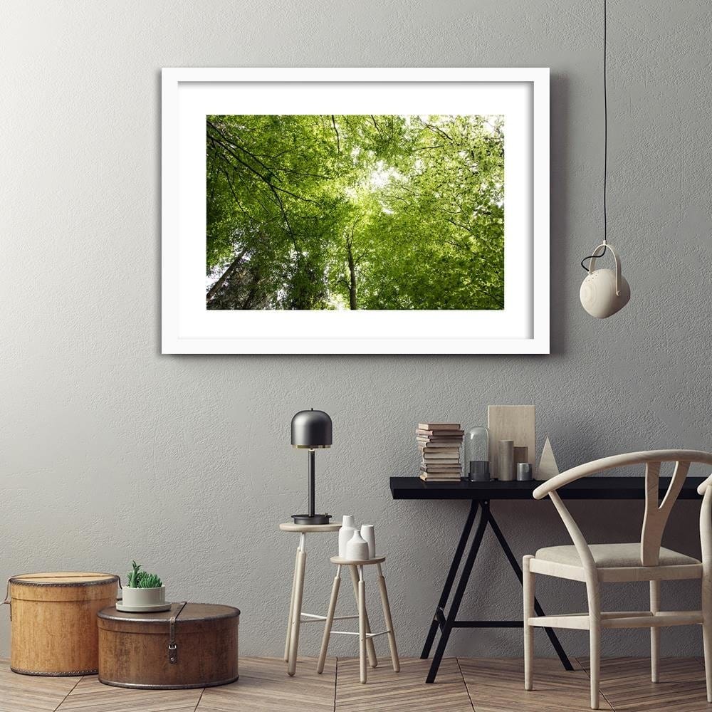Glezna baltā rāmī - The Tops Of Green Trees Home Trends DECO