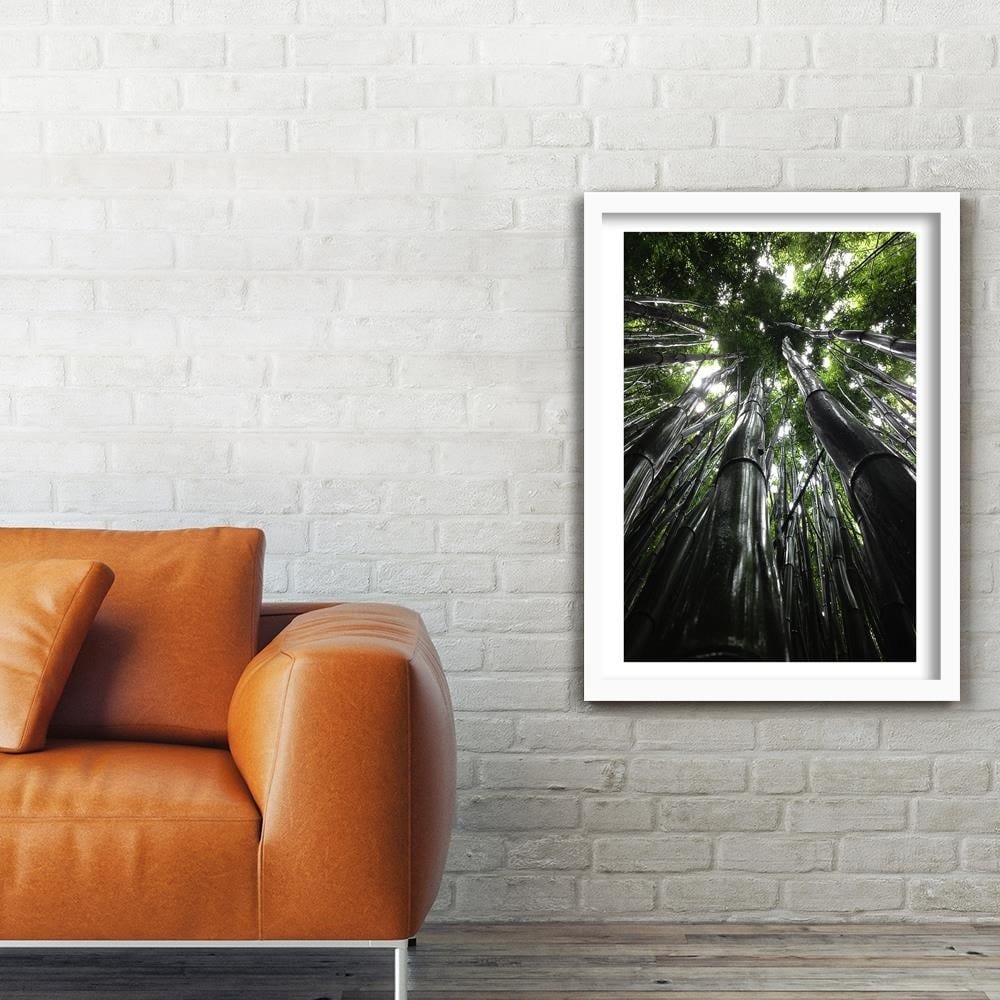 Glezna baltā rāmī - The Tops Of Tall Trees Home Trends DECO