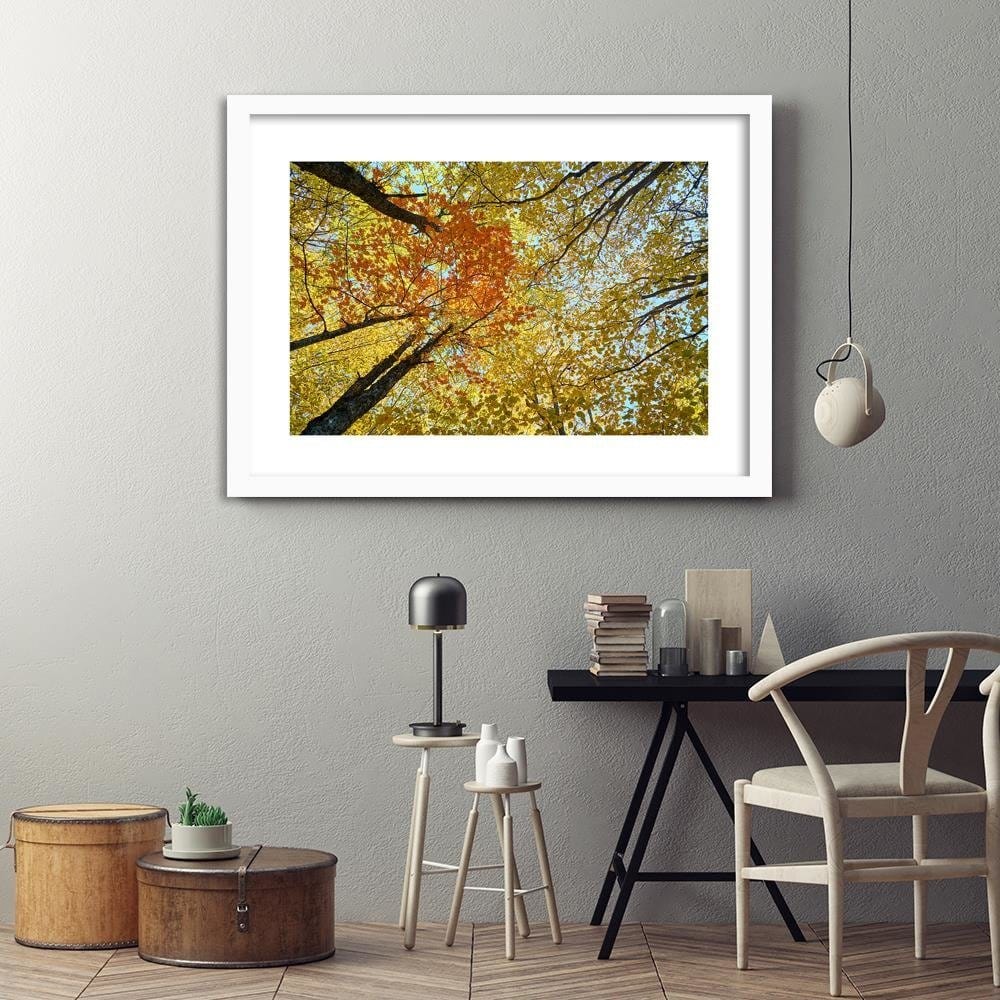 Glezna baltā rāmī - The Tops Of The Trees In Autumn Home Trends DECO